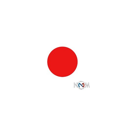 Buline magnetice colorate diametru 2 cm grosime 0.95 mm, 10 bucăți