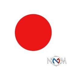 Cercuri magnetice colorate  diametru 6 cm grosime 0.95 mm set 10 bucăți